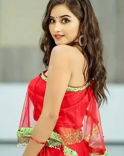 Call Girls Service Simlapal
